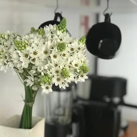 Casa Dos Poetas Albergue *