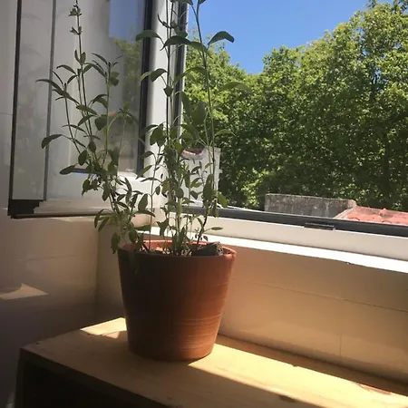 Albergue Casa Dos Poetas Caldas Da Rainha